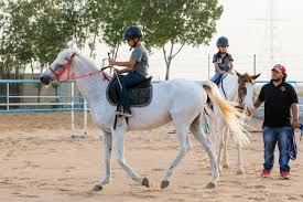 آموزش سوارکاری با اسب پونی